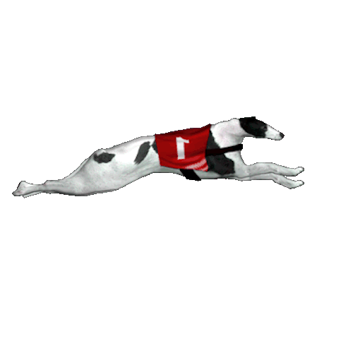 Icon- Greyhound | Winadda