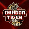 dragon tiger | Winadda