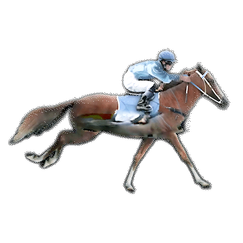 Icon- horse racing | Winadda